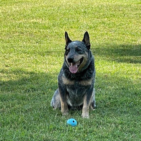 Meet the Posher, Deb - Picture 8 of 14